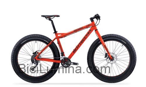 Bottecchia Senales ficha técnica y opiniones